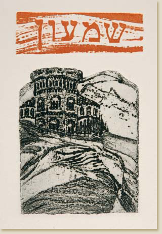 Twelve Tribes of Israel 03: Levi by Elizabeth Delson