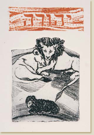 Twelve Tribes of Israel 04: Judah by Elizabeth Delson