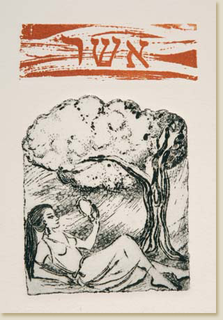 Twelve Tribes of Israel 09: Asher by Elizabeth Delson