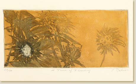 A Time of Flowering by Elizabeth Delson
