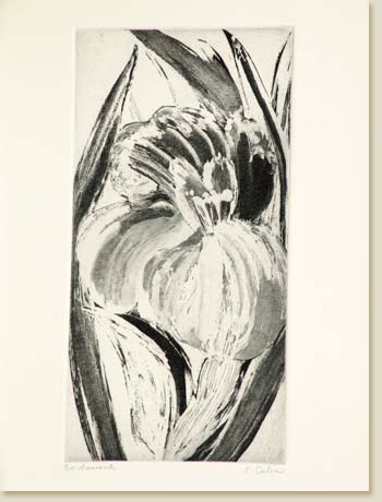 Amaranth I by Elizabeth Delson