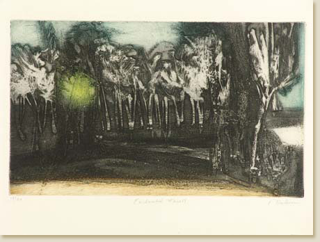 Ghosts Series 01: Enchanted Forest by Elizabeth Delson