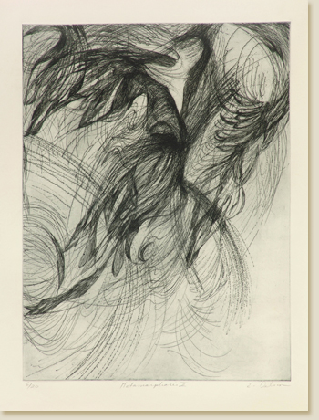 Metamorphoses II by Elizabeth Delson