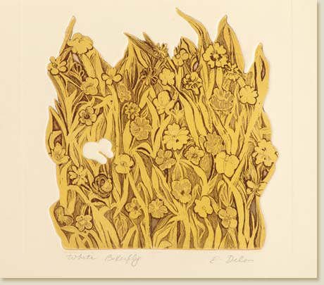 White Butterfly by Elizabeth Delson