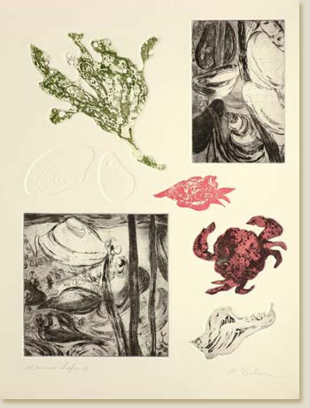 Marine Life by Elizabeth Delson