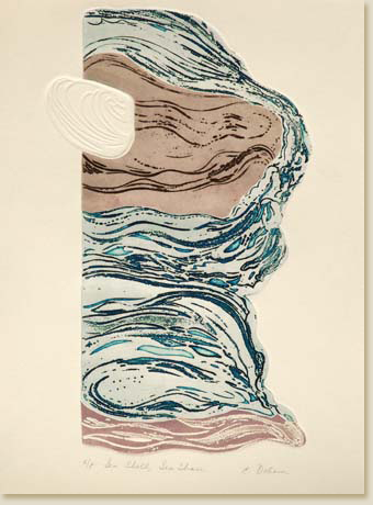 Sea Shell, Sea Shore by Elizabeth Delson